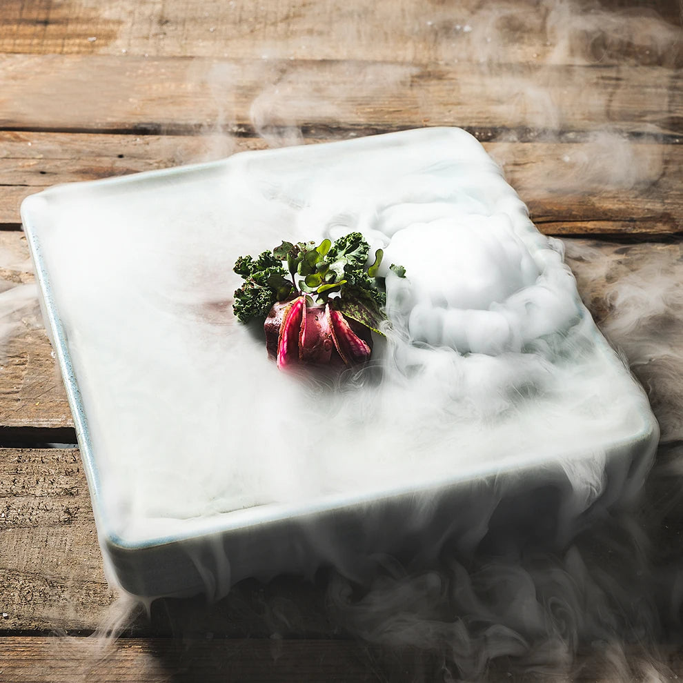 Sashimi Plato cuadrado de hielo seco 22.4X4.5 (9in)