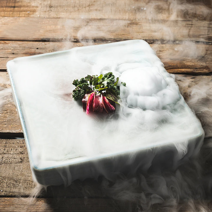 Sashimi Plato cuadrado de hielo seco 22.4X4.5 (9in)