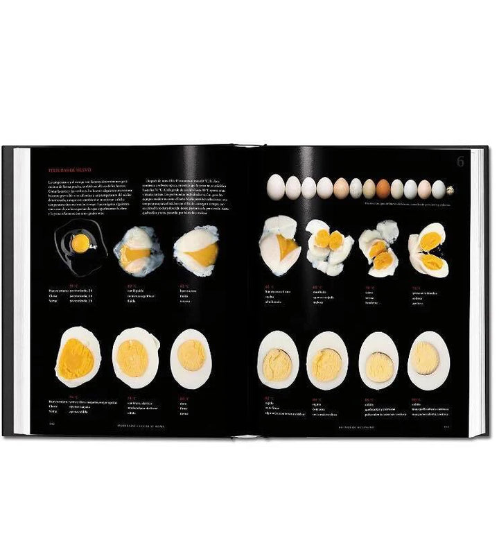 MODERNIST CUISINE AT HOME CASTELLANO