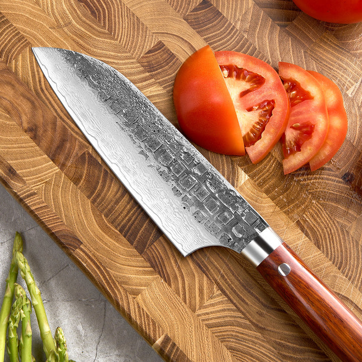 Cuchillo Santoku #6 Japones, 67 capas de acero Damasco forjado