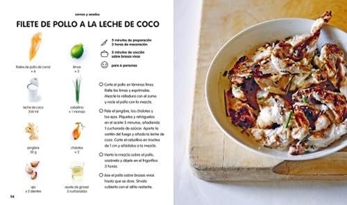 100 RECETAS BARBACOA, PARRILLA Y PLANCHA