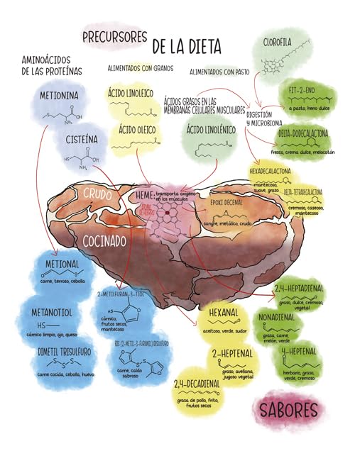 Saborama: Una guía para entender el arte y la ciencia del sabor