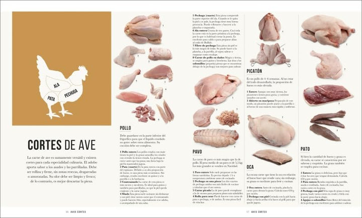Carne. Nueva edición, Nichola Fletcher