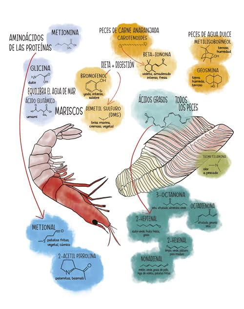 Saborama: Una guía para entender el arte y la ciencia del sabor