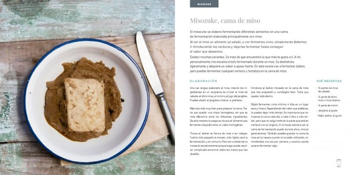 Fermentación: Crea recetas saludables, sencillas y transformadoras