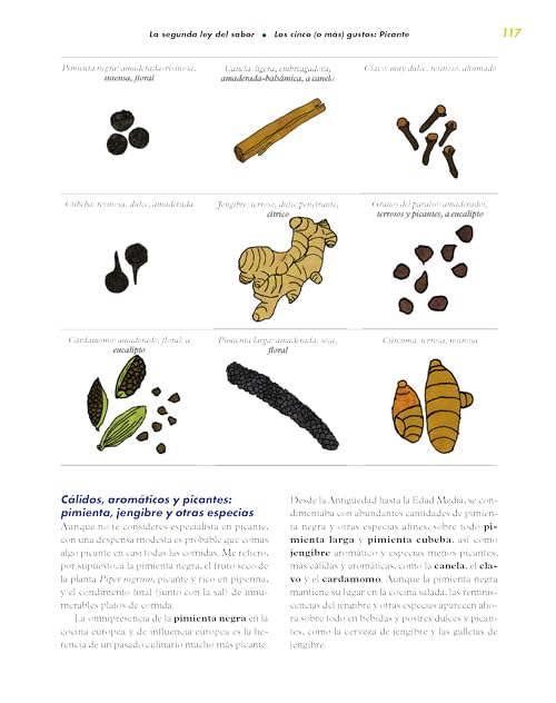 Saborama: Una guía para entender el arte y la ciencia del sabor