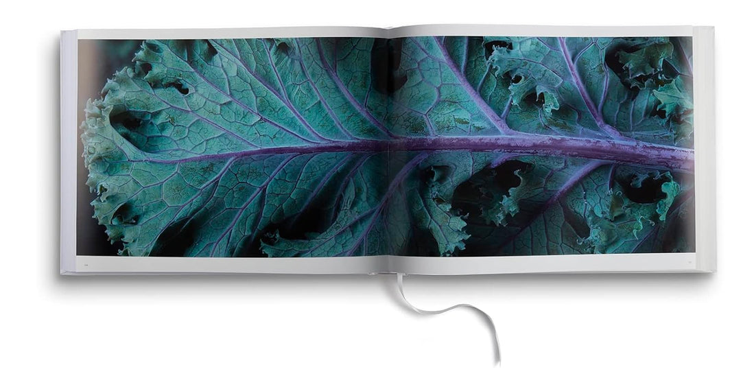 Food & Drink: Modernist Cuisine Photography.