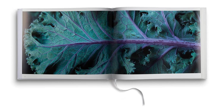 Food & Drink: Modernist Cuisine Photography.
