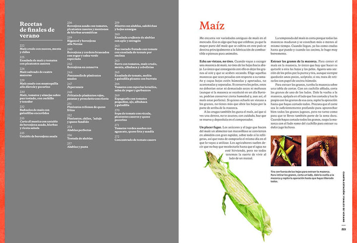 Seis estaciones: La nueva cocina con vegetales.
