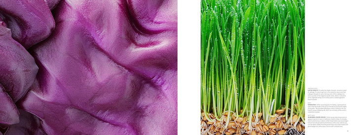 Food & Drink: Modernist Cuisine Photography.
