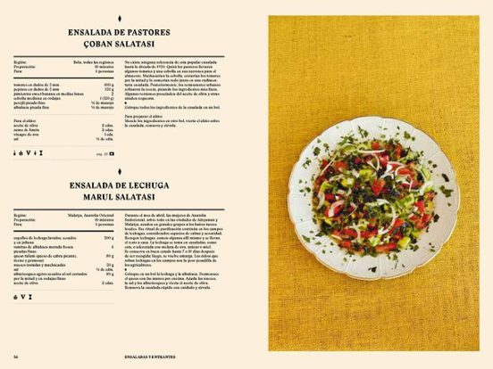 TURQUIA GASTRONOMIA, VV.AA.