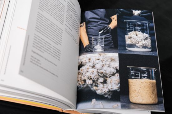 Fermentos. Basque Culinary Center