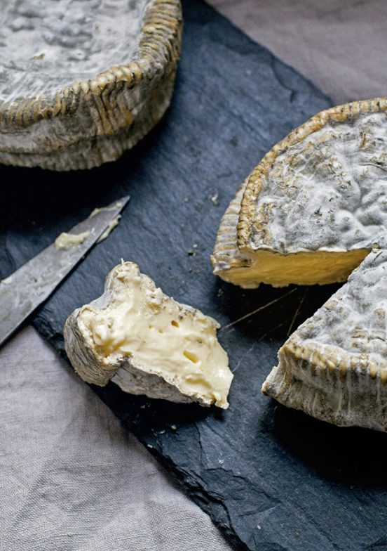 EL ARTE DE HACER QUESO