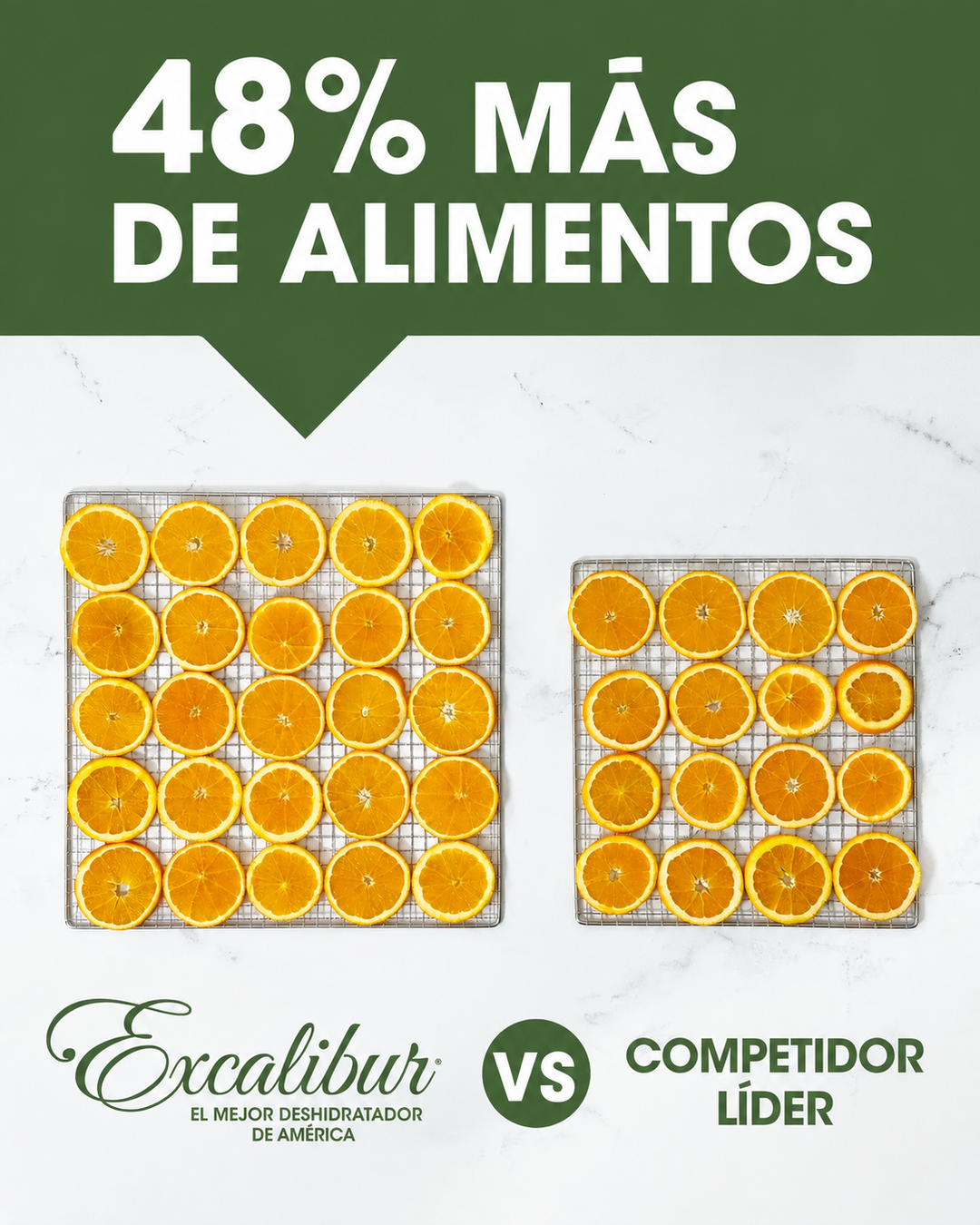 Deshidratador digital Excalibur de 10 bandejas, de acero inoxidable.