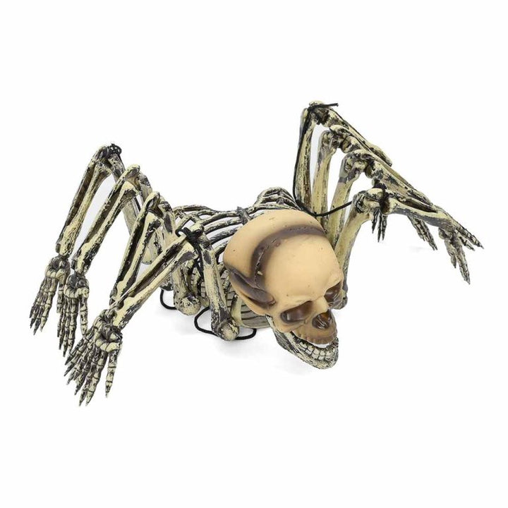 Cráneo y araña para decoración de halloween