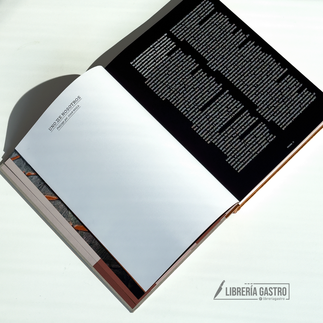 Mayta, de Jaime Pesaque