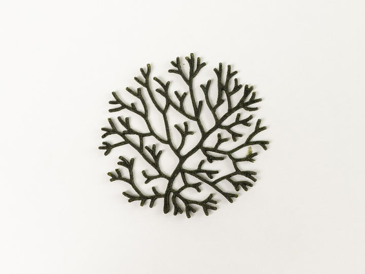Algae SilicoMold