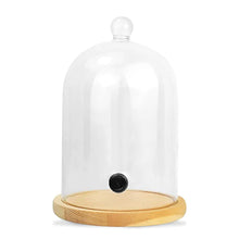 Cargar imagen en el visor de la galería, KIT Aladín  Ahumador instantáneo c/ Campana Ahumadora Alta 26 x 12.2cm día.