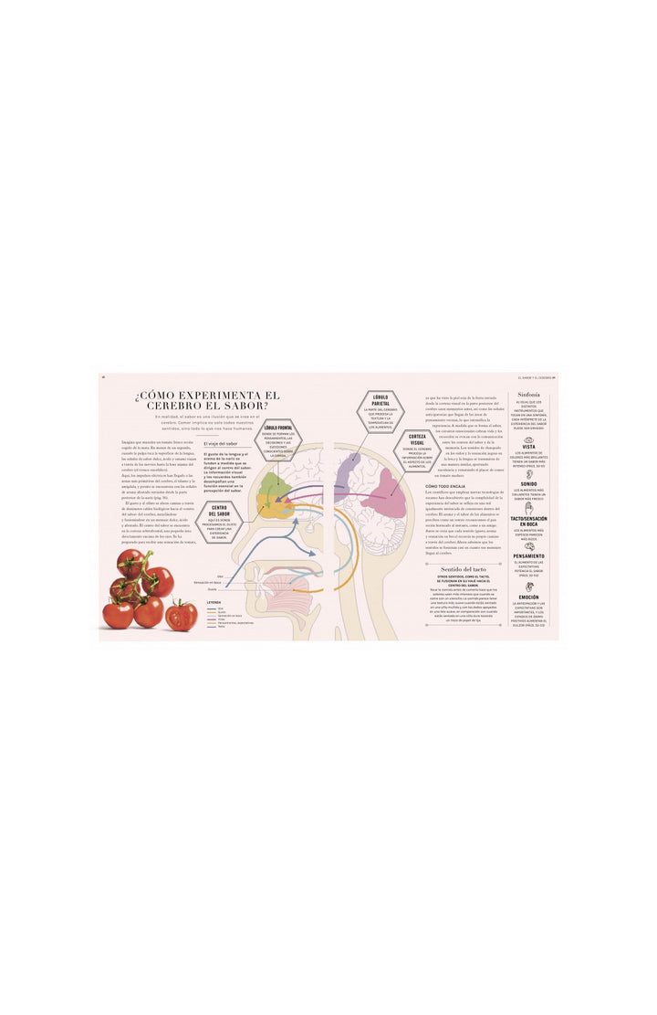 La ciencia de los sabores