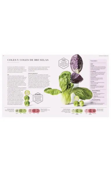 La ciencia de los sabores