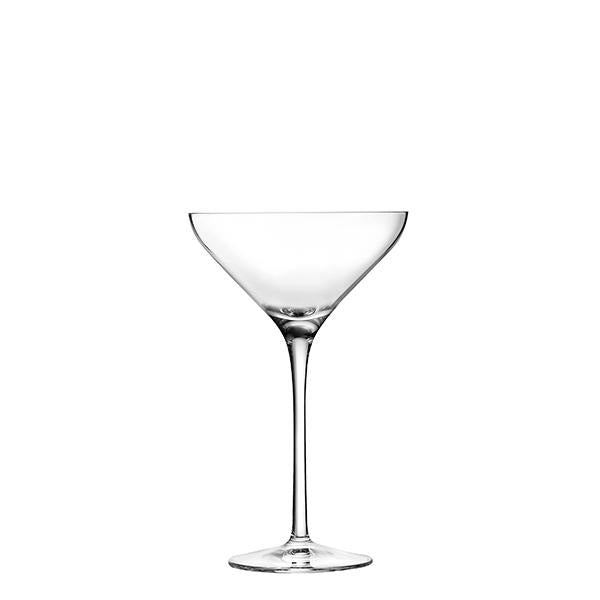 Champagne glass 21 cl Cocktail (SET X6)