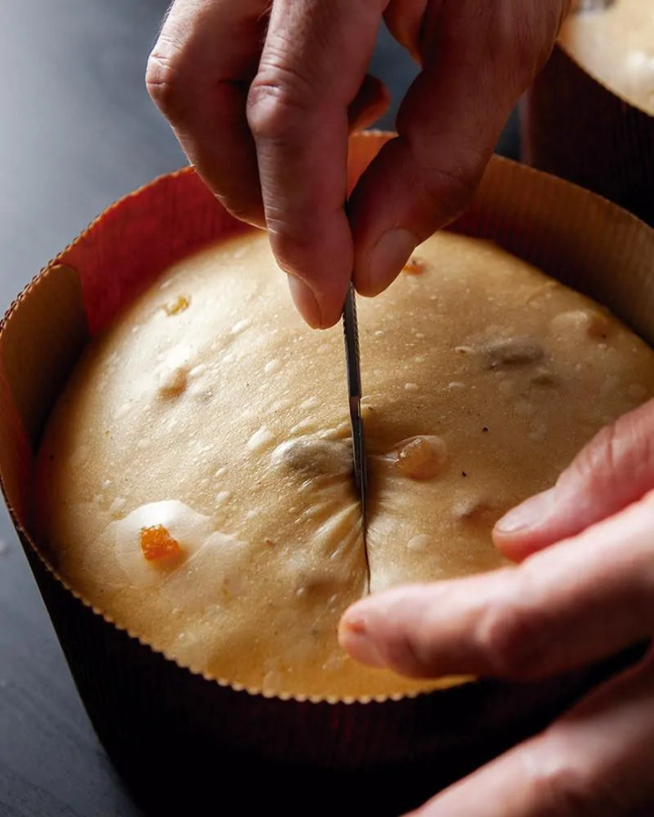 Remember 28ºC de Jose Romero, la obra definitiva sobre panettone