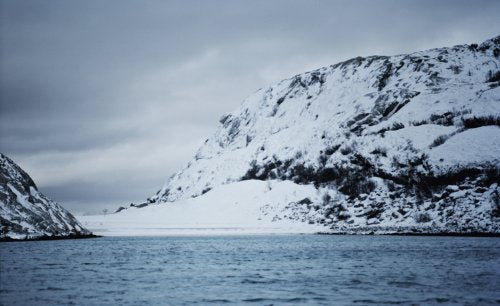 Noma: Time and Place in Nordic Cuisine (Inglés)