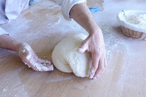 Tratado de panadería de masa madre