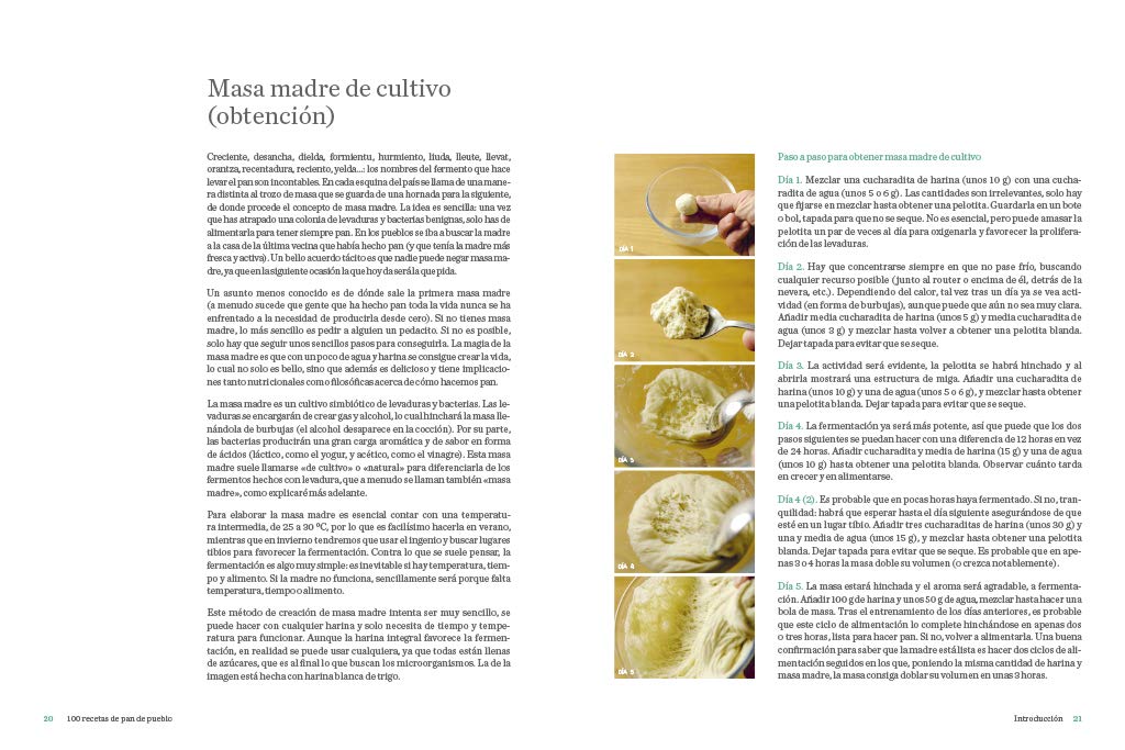 100 recetas de pan de pueblo: Ideas y trucos para hacer en casa panes de toda España