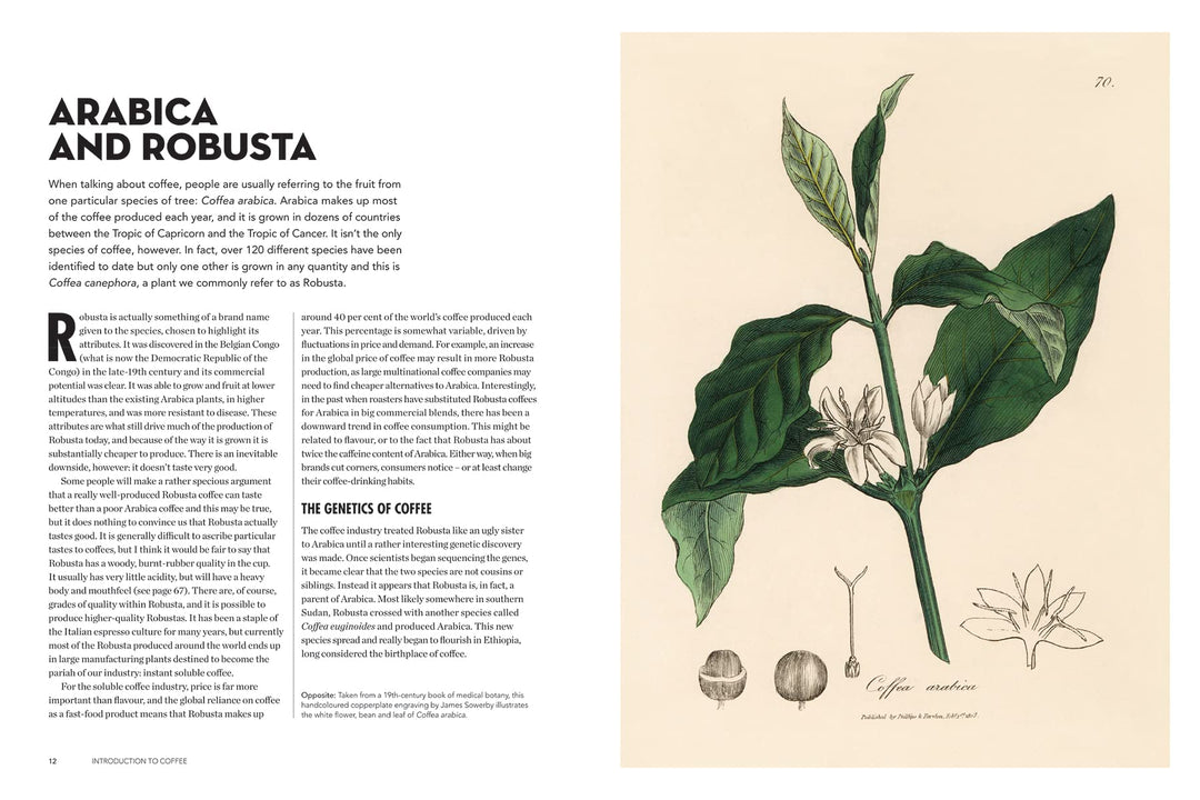 The World Atlas of Coffee: From Beans to Brewing - Coffees Explored, Explained and Enjoyed