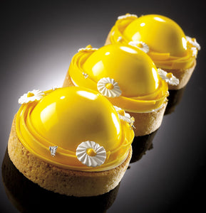 Collection Entremets & Petits Gateaux