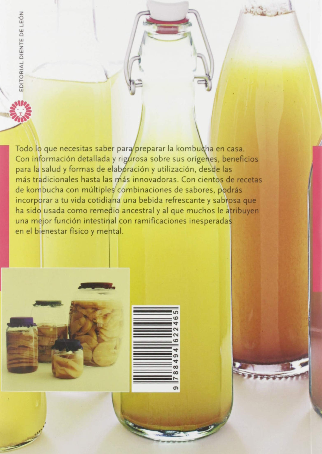 El gran libro de la kombucha