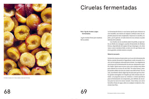 La guía de fermentación de Noma. by René Redzepi, David Zilber