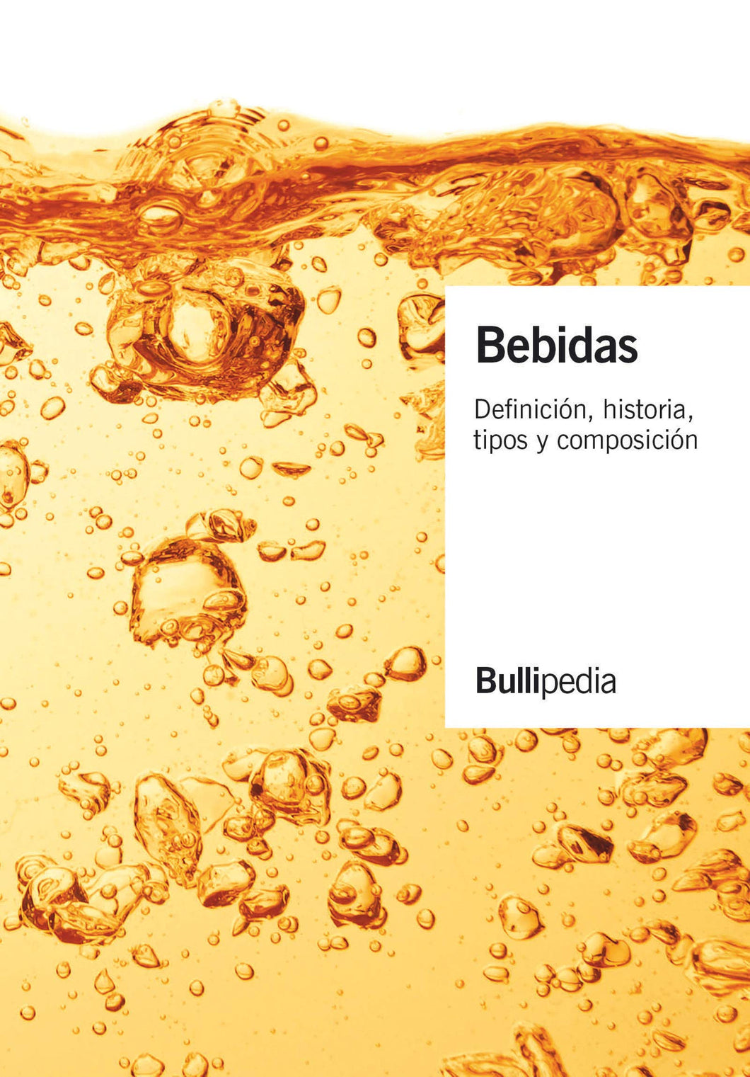 Bebidas - Volumen I