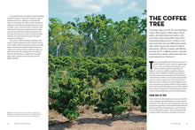 Cargar imagen en el visor de la galería, The World Atlas of Coffee: From Beans to Brewing - Coffees Explored, Explained and Enjoyed