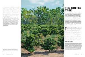 The World Atlas of Coffee: From Beans to Brewing - Coffees Explored, Explained and Enjoyed