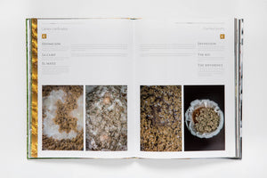 Caldos [Ricard Camarena] Broths