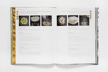 Cargar imagen en el visor de la galería, Caldos [Ricard Camarena] Broths