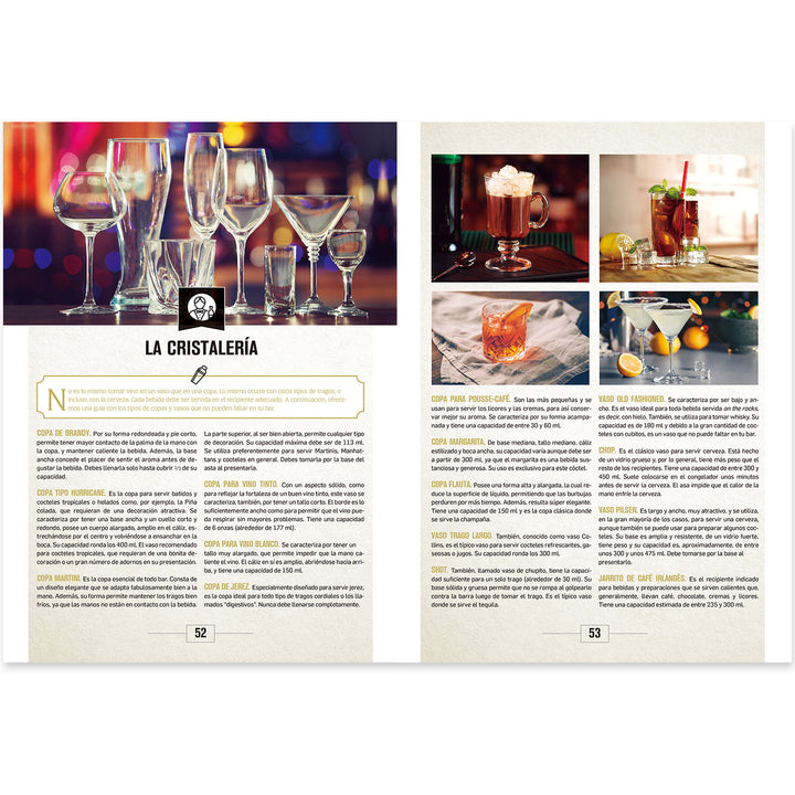 EL GRAN LIBRO DEL BARTENDER