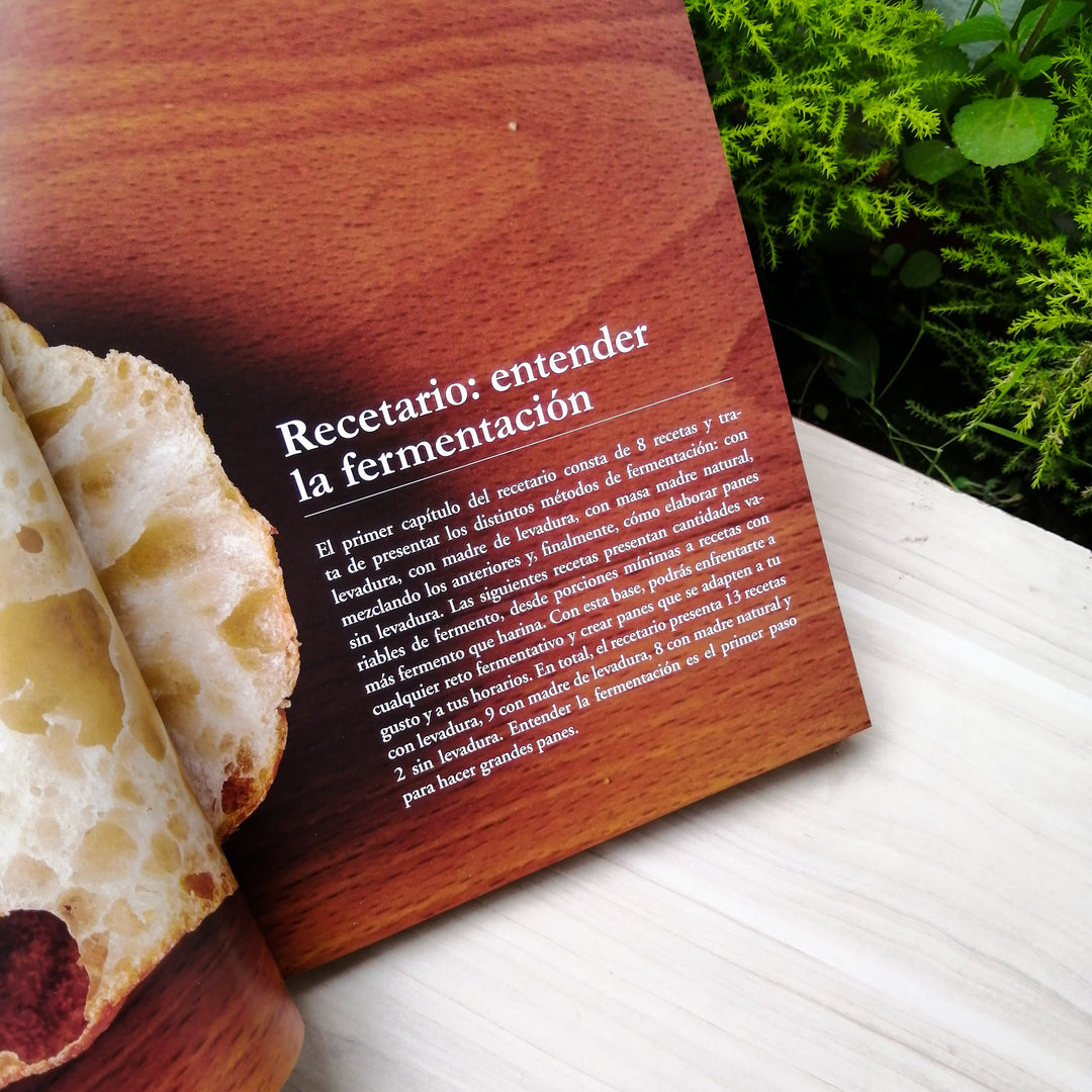PAN CASERO.(GASTRONOMIA)