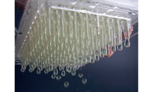 Cargar imagen en el visor de la galería, CAVIAR-BOX