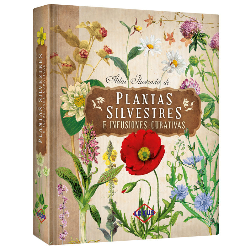 Atlas Ilustrado de Plantas Silvestres e Infusiones Curativas