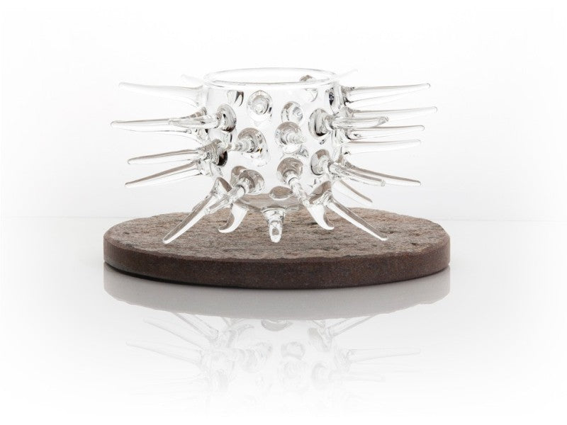 PLATO ERIZO ALTO 150ml