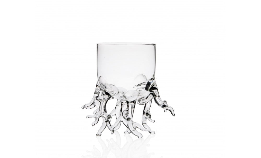 VASO CORAL REEF