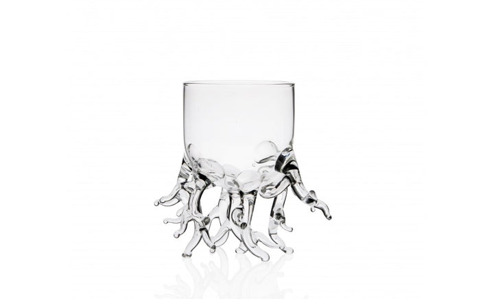 VASO CORAL REEF
